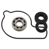 HOT RODS ZESTAW NAPRAWCZY POMPY WODY HONDA CRF 450R 02-08