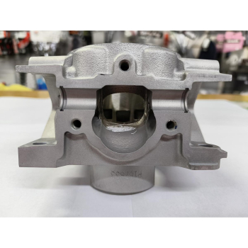 Cylinder std KTM SX 85 18-25, HVA TC, GAS GAS-11609