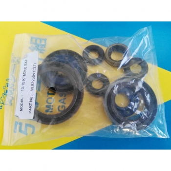 AOKI uszczelniacze silnikowe KTM 4T 250 13-15