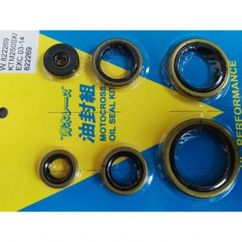 AOKI uszczelniacze silnikowe KTM 250/300 03/04-...