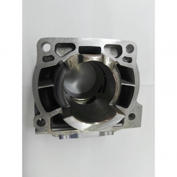 Cylinder std BETA RR 250 13-...-40298