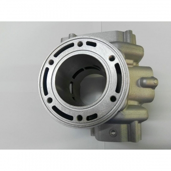 Cylinder std BETA RR 250 13-...-40300