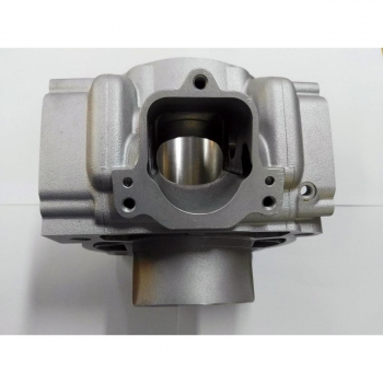 Cylinder std BETA RR 250 13-...-40301