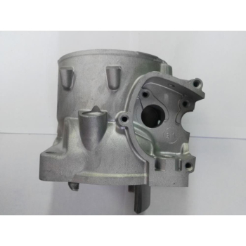 Cylinder std KTM EXC 300 TPI 20-23-47364