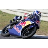 RED BULL napój energetyczny-5367