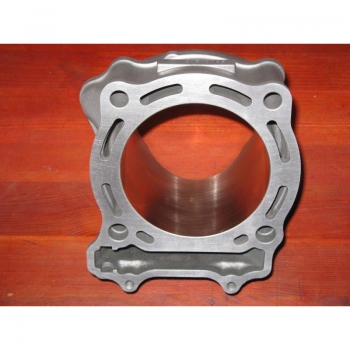 Cylinder std LTR 450 06-...-6391